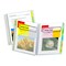 C-Line Products 10Pocket Poly Portfolio with WriteOn Tabs Set of 12 Portfolios, 12PK 33650-DS - alternate 3